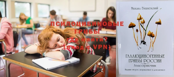 эйфоретик Верхний Тагил
