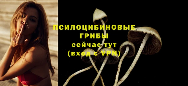 эйфоретик Верхний Тагил